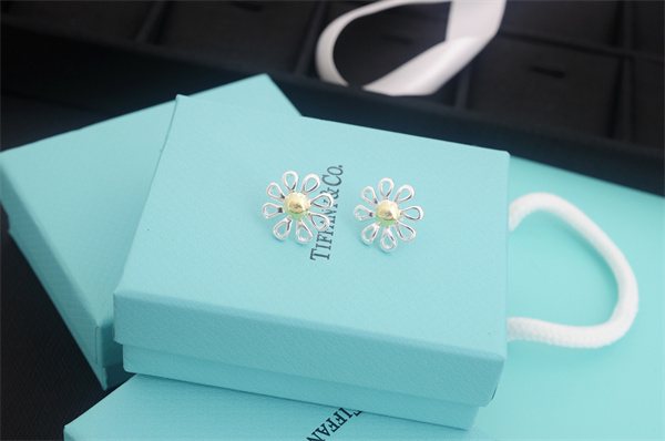 Tiffany Earrings 018